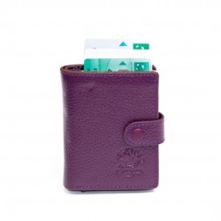 Kuleta për kredi kartela West Polo 5580-18